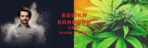 молекула духа Новокубанск