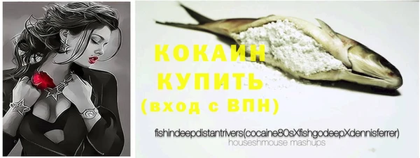 спиды Новодвинск