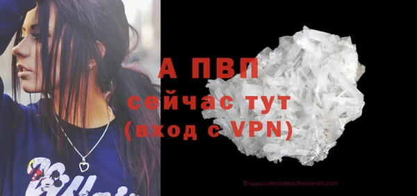 спиды Новодвинск