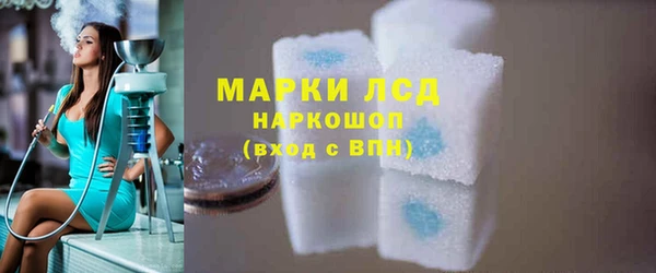 спиды Новодвинск