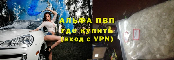спиды Новодвинск
